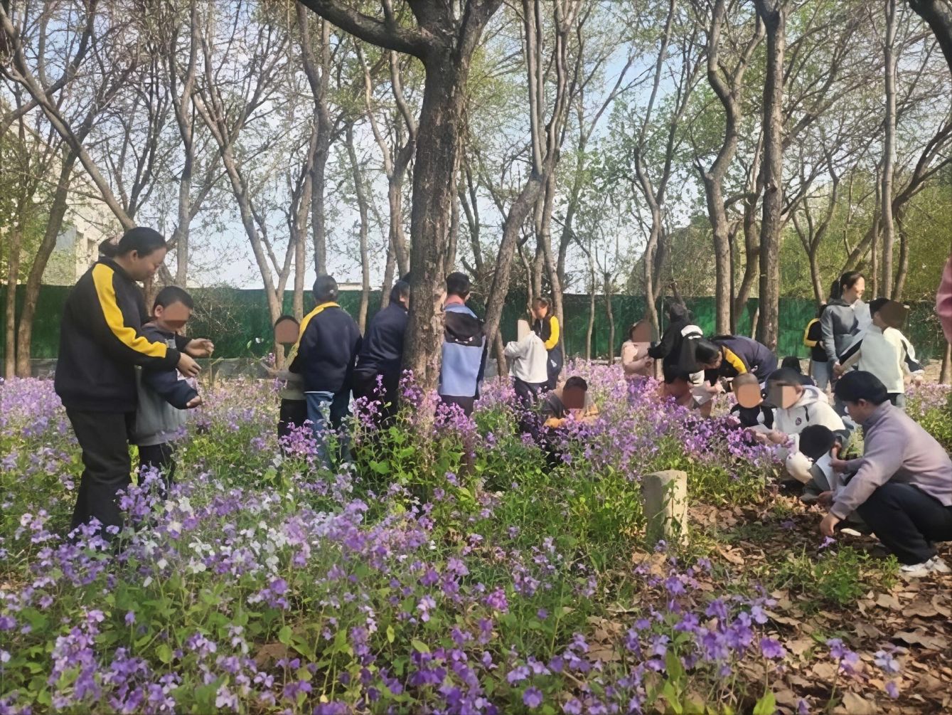 20260407091041_11689.jpg 20260407091041_11689.jpg