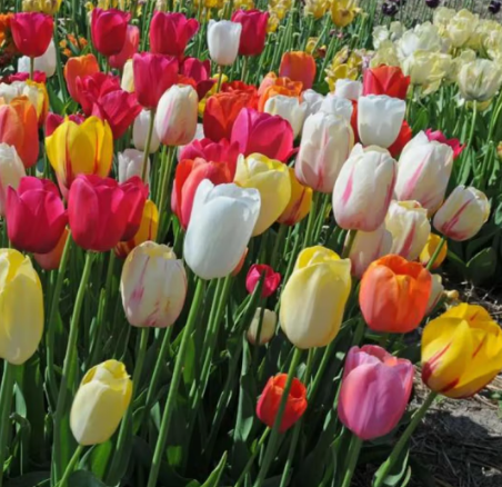 Cloud Zoom small image