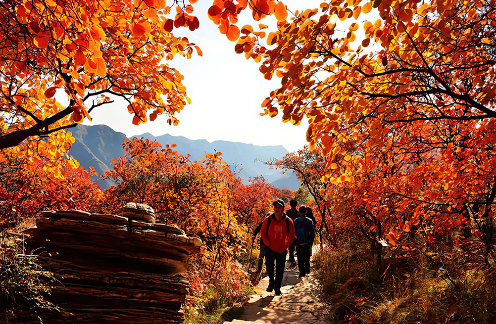  ᅟᅠ        ‌‍‎‏