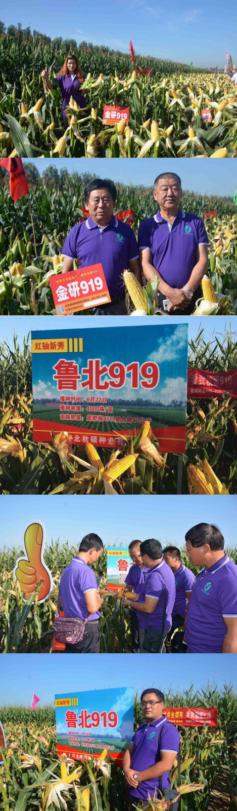 微信圖片_20220610115538.jpg