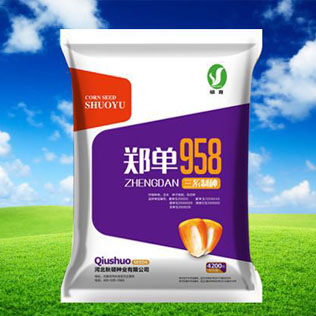 Cloud Zoom small image