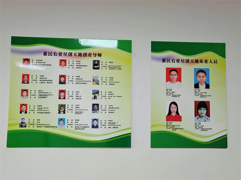 导师团队、管理团队