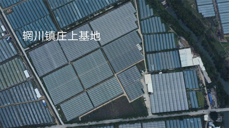 种植试验示范基地