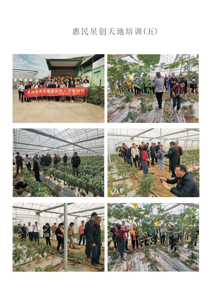 创新创业活动（五）