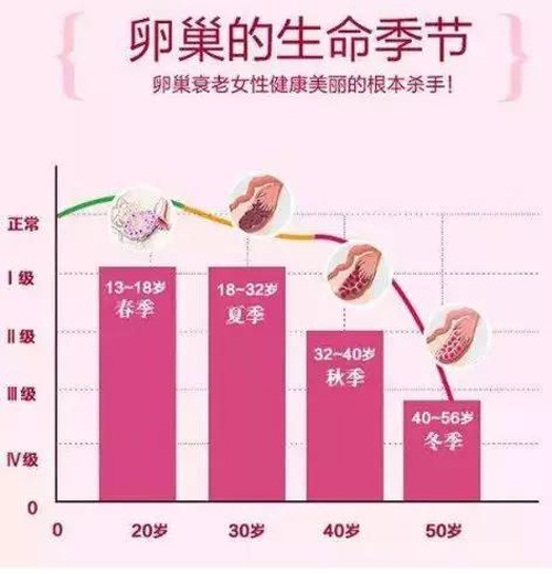 数目才代表了未来卵巢还能有多少功能,而这就是所谓的卵巢储备功能,也