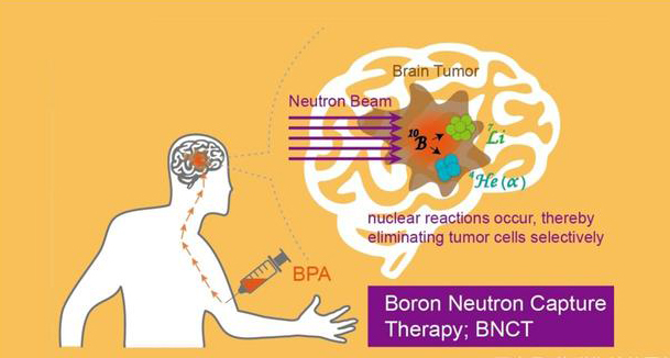 台湾加速器硼中子俘获癌症治疗研发中心