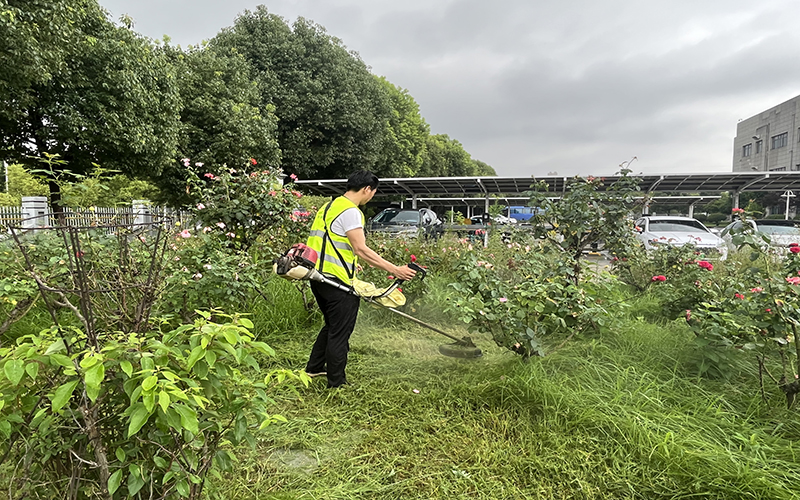 小区绿化养护费用报价清单
