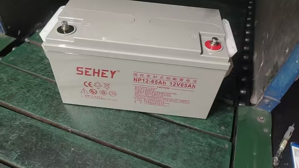 SEHEY蓄电池NP12-38Ah