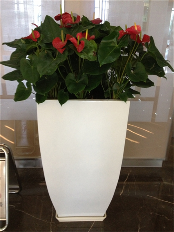 Cloud Zoom small image