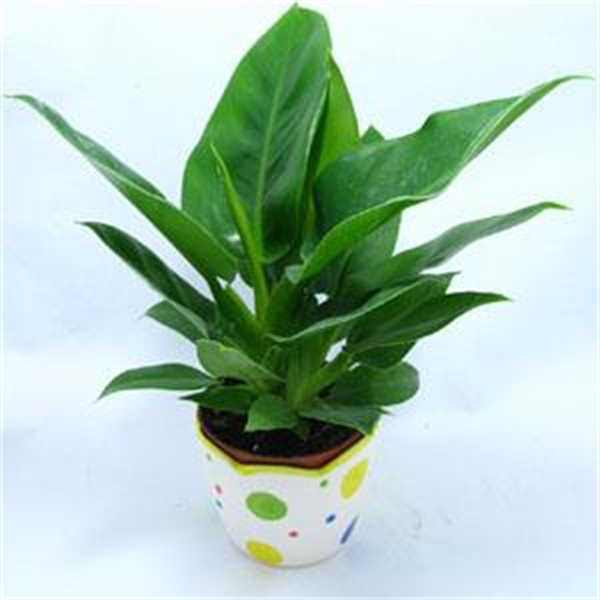 Cloud Zoom small image