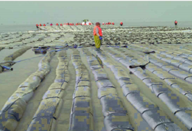 20250213151507_31100.png 微信图片_20250213151305.png