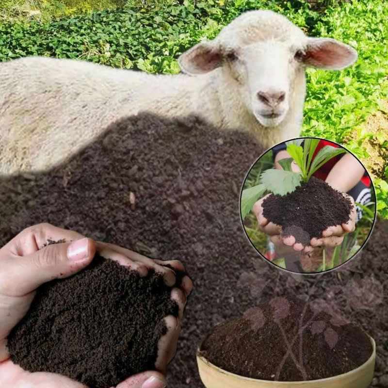 Principles and precautions for site selection of organic fertilizer production lines