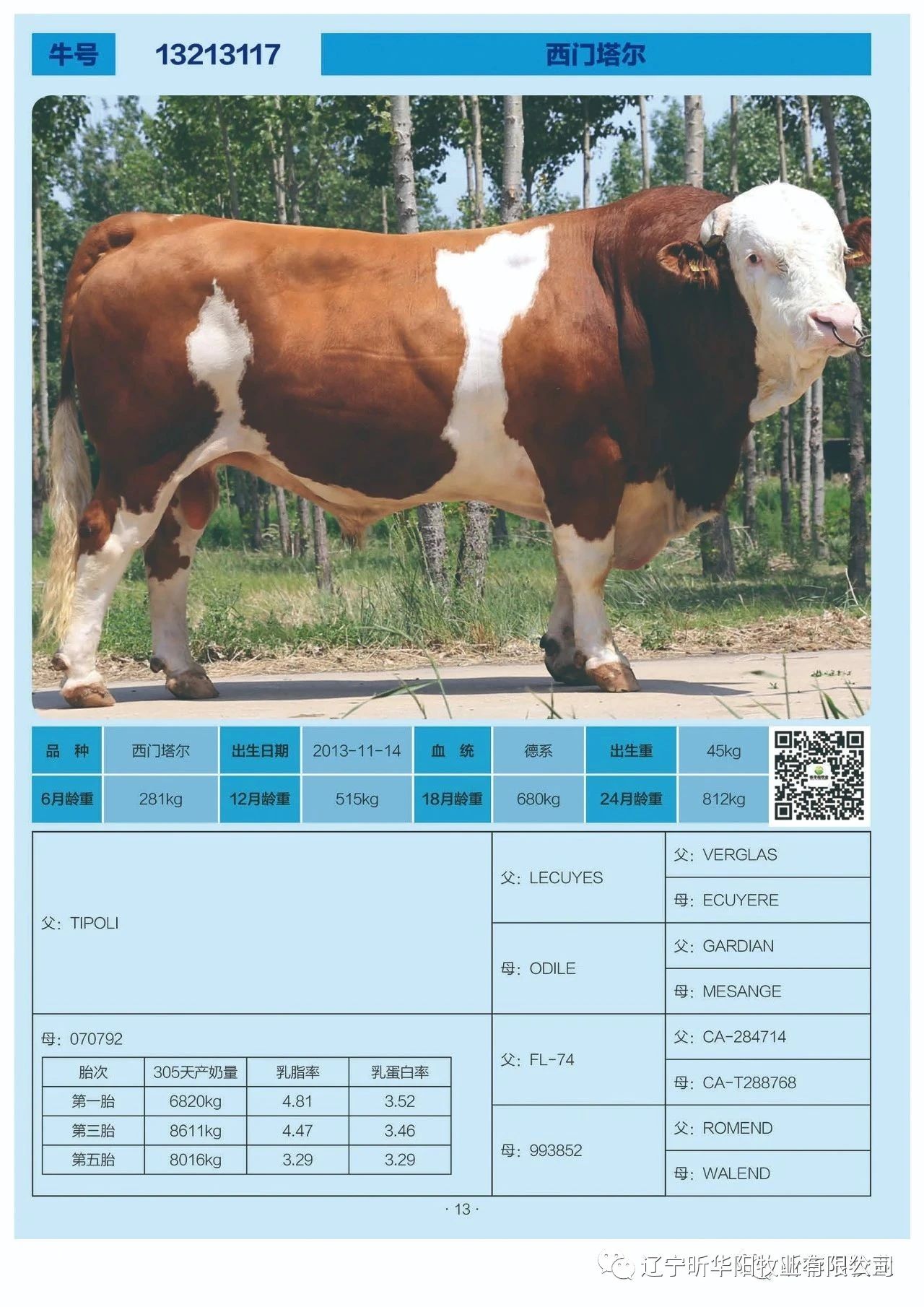 Cloud Zoom small image