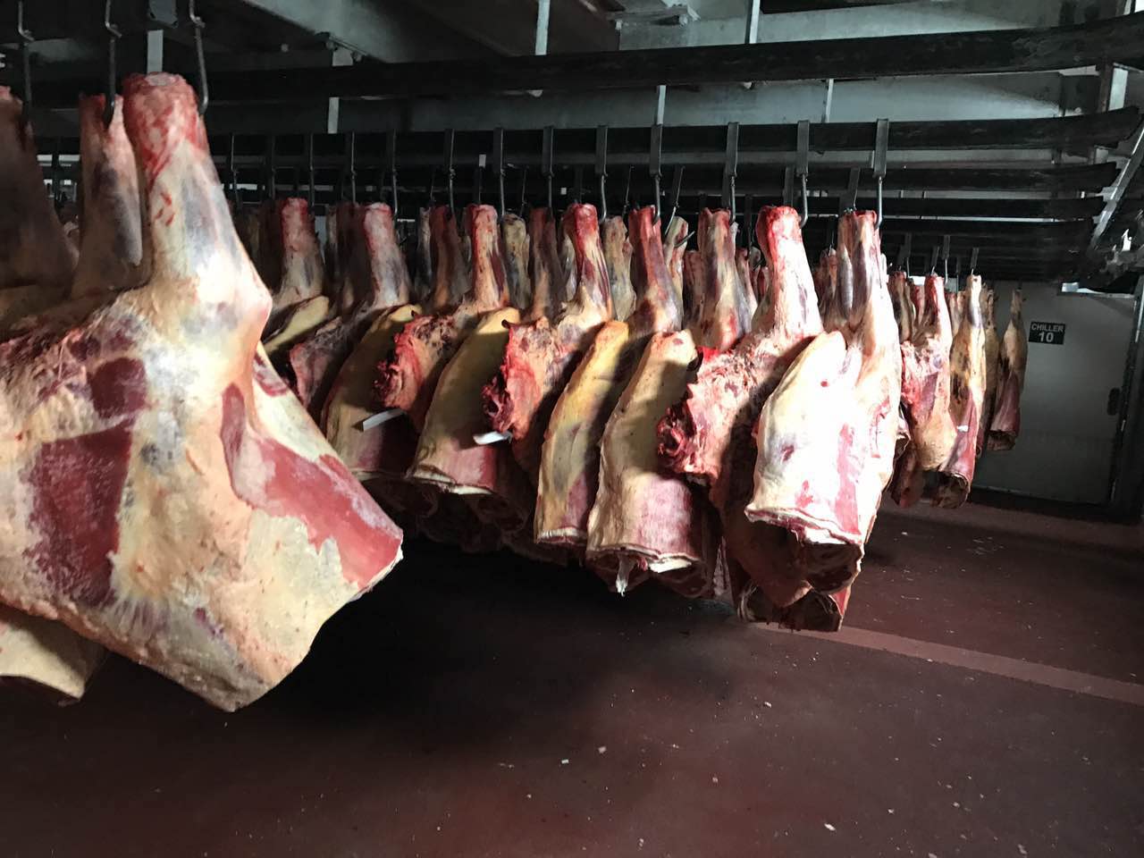 乌拉圭牛肉代理采购