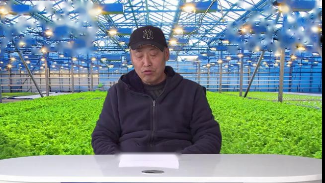 大棚西红柿栽培技术