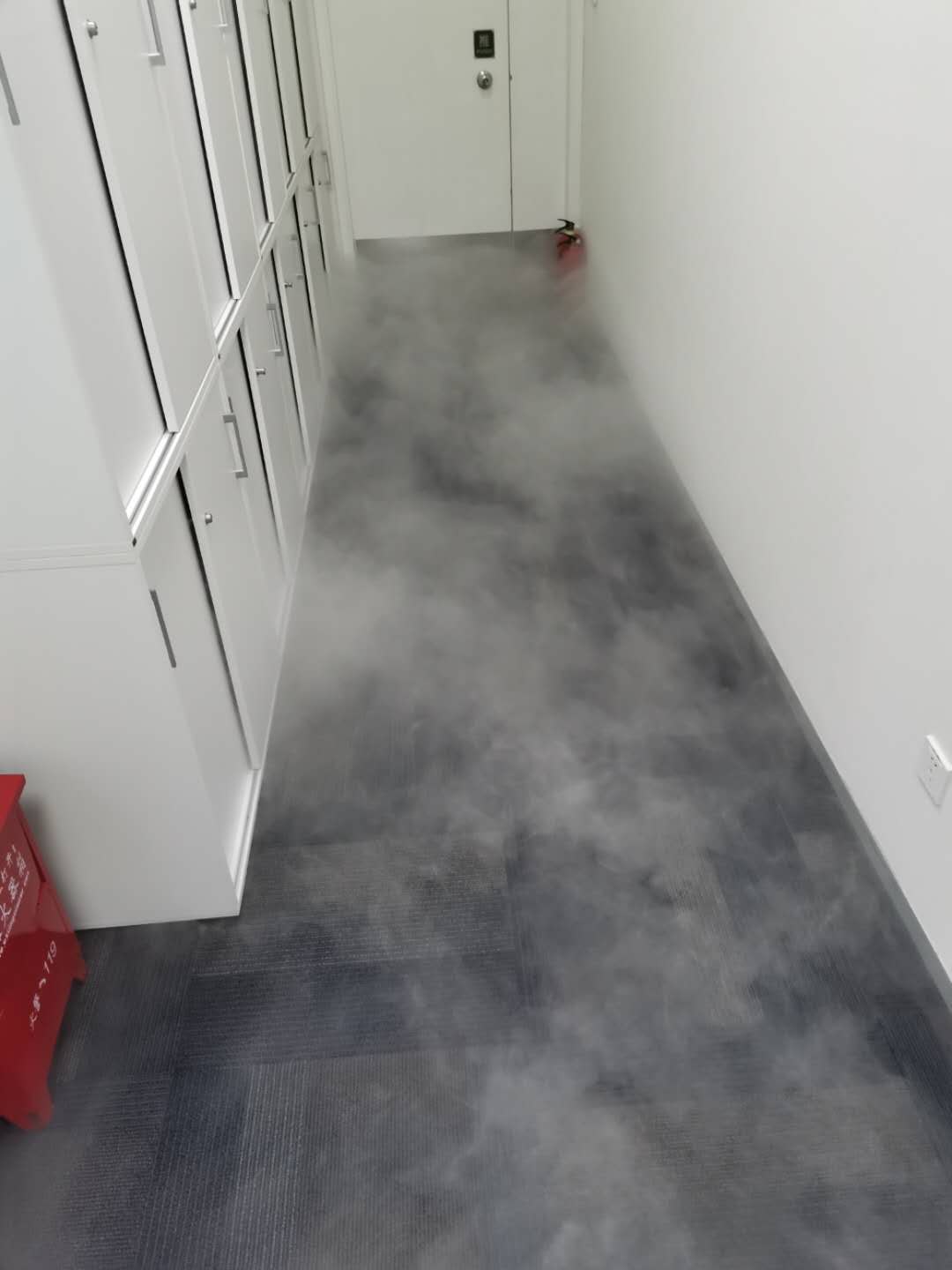 什么杀虫剂好用？