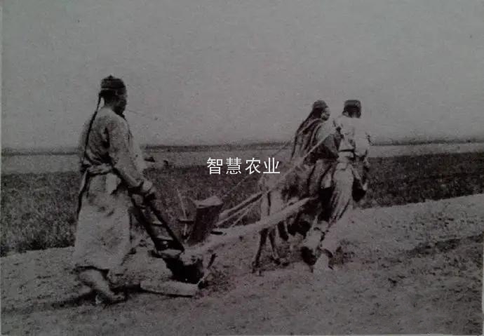 农业1.0-人力与畜力为主的传统农业农业  