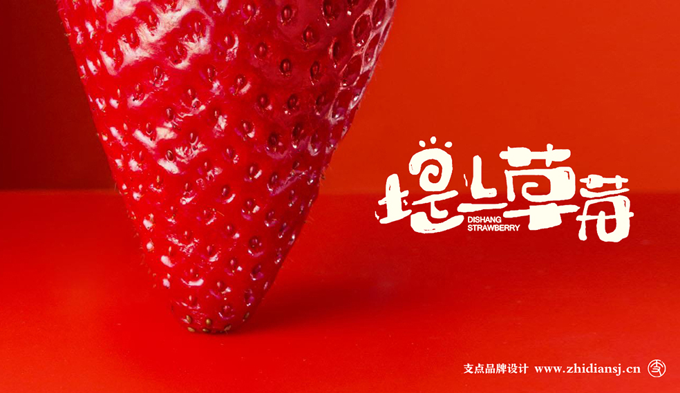 堤上草莓、方琼、成诚、久久草莓、不打农药、免洗草莓、中国设计之星 (1).jpg