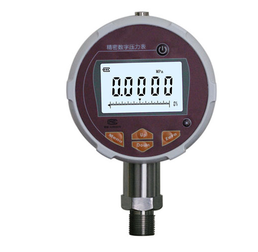 ZN-100B标准数字压力表.jpg